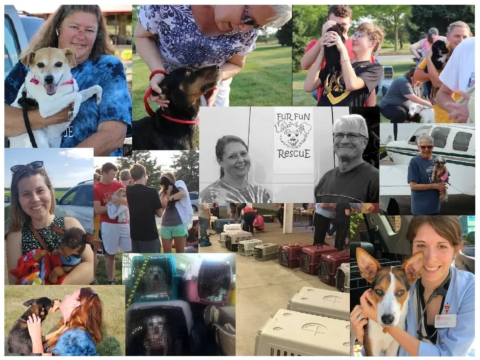 Fur Fun Rescue Collage